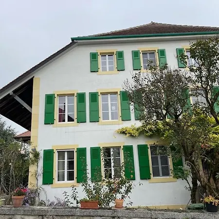 Petit Au Rez