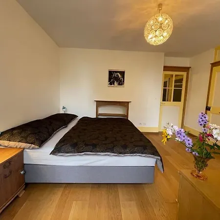 Petit Au Rez Apartment Baulmes