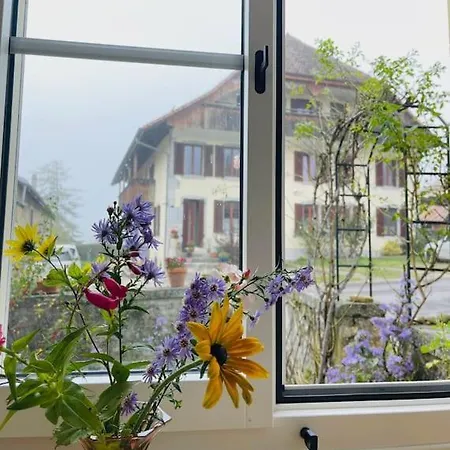 Petit Au Rez * Baulmes