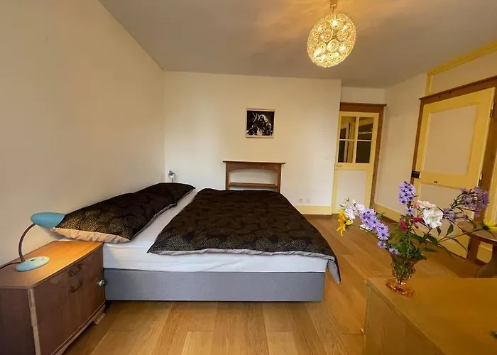 Petit Au Rez Appartement Baulmes